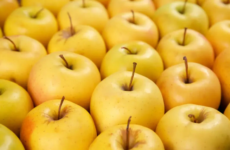 Nos Fruitiers à Fruits à pépins