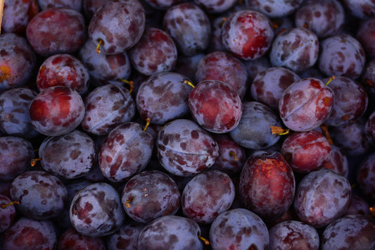 Acheter Plants de Prunier à fruit violet