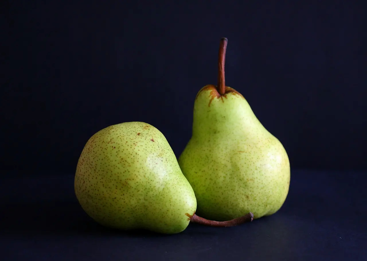 Pierre's Tree Pear Tree Saint-Germain d'Hiver Half Standard EU – Arboriverse ...